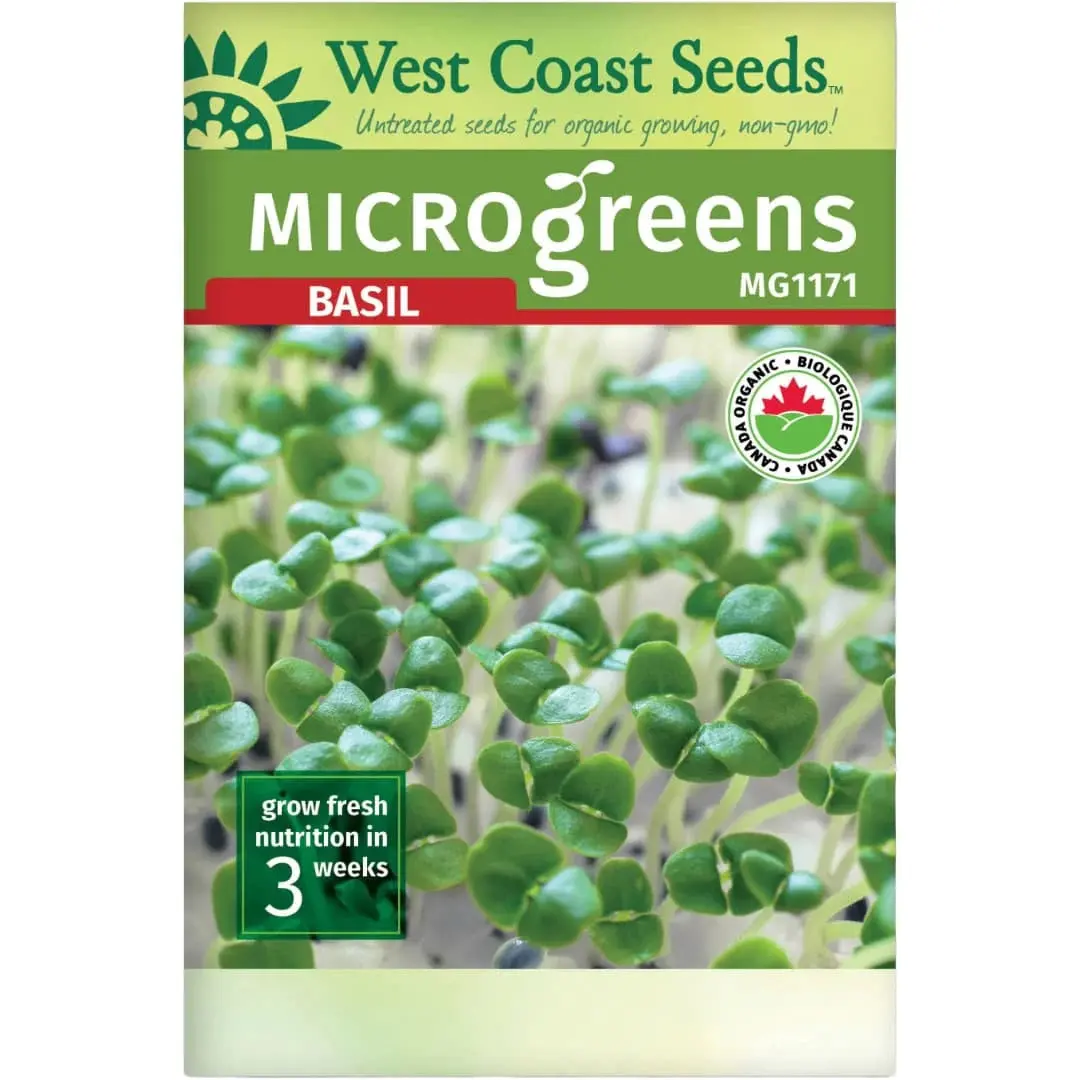 Microgreens Basil Mg1171 1