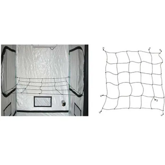 Web It Plant Support Trellis 1