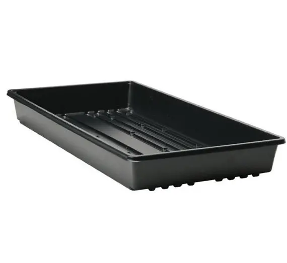 Quad Thick Propagation Tray 1