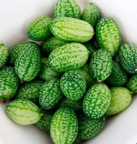 Cu413 Cucumber Cucamelon 1