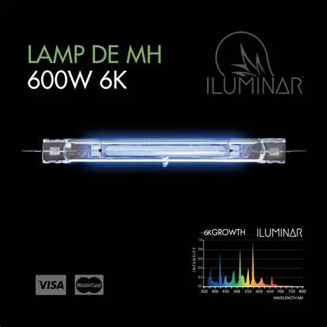 Iluminar De Bulb 600W 6000K 1