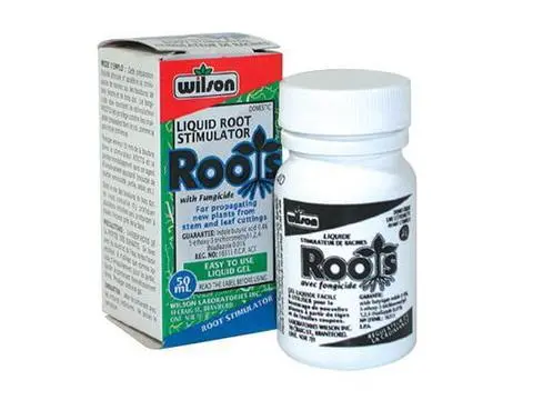 Wilson Liquid Root Stimulator 1