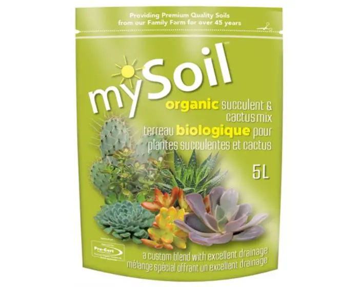 Succulent & Cactus Mix 5L 1