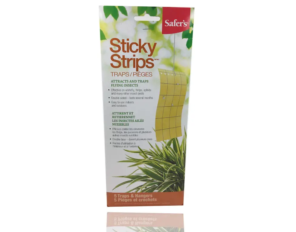 Safer's Sticky Strips 1
