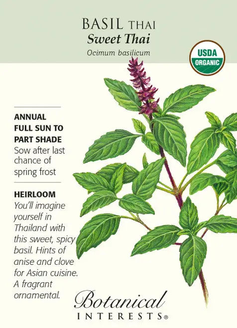 Hr1026 Sweet Thai Basil 1