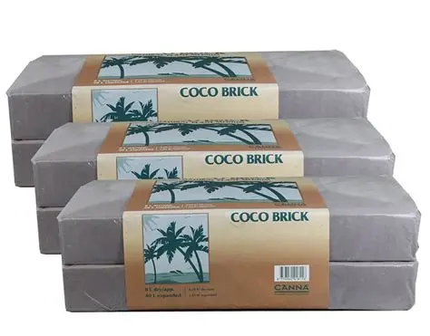 Canna Coco Brick 1