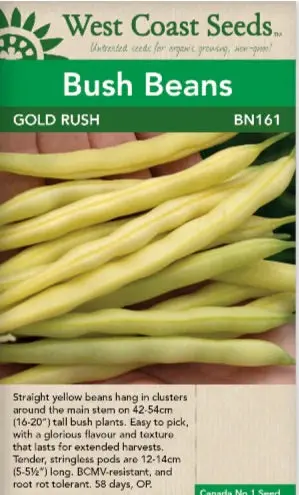 Bn161 Bush Beans Gold Rush 1