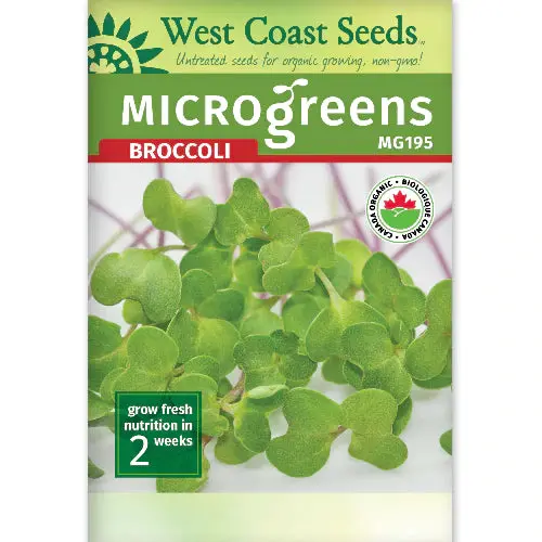Mg195 Microgreens Broccoli 1