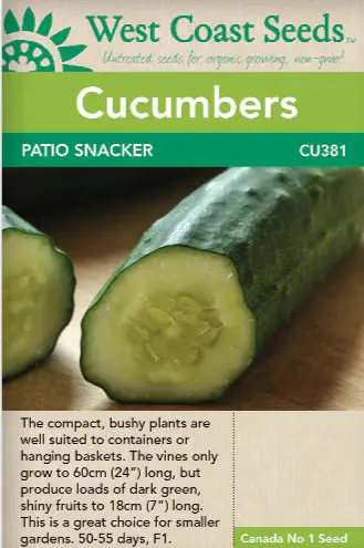 Cu381 Cucumber Patio Snacker 1