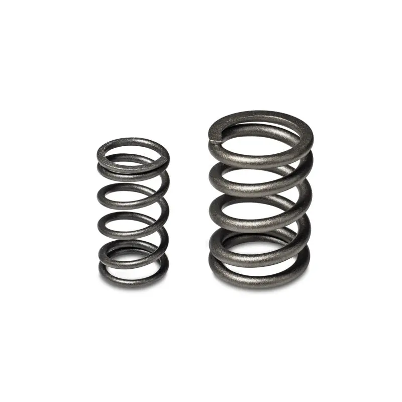 Skunk2 Tuner Series Dual Valve Spring Kit For Honda/Acura B-Series Dohc Vtec Engines 1